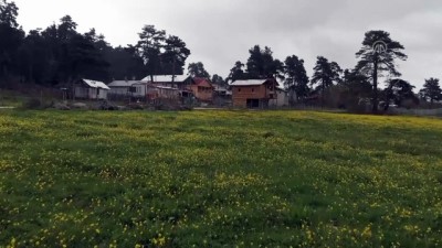 Bolu'nun Yaylalarında İki Mevsim Bir Arada Yaşanıyor