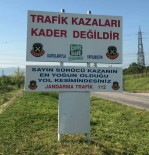 KADER - Jandarmadan Trafik Kazaları İçin Uyarı Tabelası