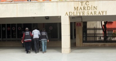 Mardin Merkezli 7 İlde FETÖ Operasyonu Açıklaması 12 Gözaltı