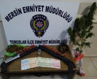 Mersin'de Aranan 258 Kişi Yakalandı