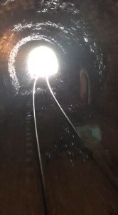 Tünele Giren Yaban Keçileri Trenin Altında Kalmaktan Son Anda Kurtuldu