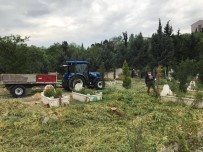 VEZIRHAN - Vezirhan Belde Mezarlığı'nda Temizlik Çalışmaları