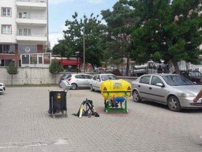 Cevizin Ana Vatanında Hasat Dönemi Kolaylaşacak