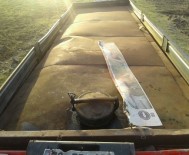 Diyarbakır'da Petrol Boru Hattından Hırsızlık Jandarmadan Kaçmadı