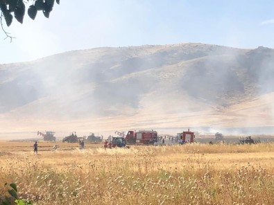 Nusaybin'de Çıkan Yangın Ekinlere Sıçradı