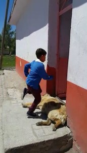 Öğrencilerin Duyarlılığı