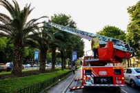 Ağaçta Mahsur Kalan Yavru Kedinin İmdadına İtfaiye Yetişti