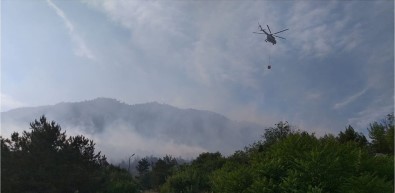 Bilecik'te Dün Kontrol Altına Alınan Orman Yangını Tekrar Başladı