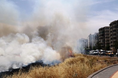 Diyarbakır'da Anız Yangınları Hayatı Felç Etti