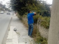 FEVZI ÇAKMAK - Düzce'de Bakım Çalışması Sürüyor