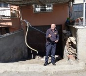 Garaja Giren Yılan İtfaiye Ekipleri Tarafından Çıkarıldı