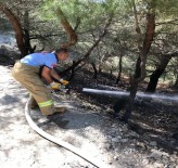 Islanan Elbiselerini Kurutmak İsterken Ağaçları Yaktı
