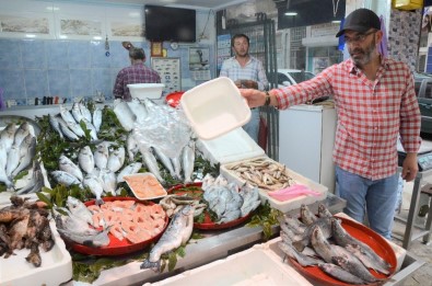 Ordu'da Balık Çok Ama Talep Yok