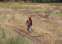 SAĞANAK YAĞIŞ - Sel Mevsimlik Tarım İşçilerini De Vurdu