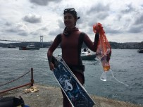 ŞAHİKA ERCÜMEN - Sıfır Atık Mavi Projesi'nde Dalgıçlar Suya İndi