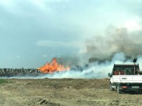 Söke'de Pamuk Çalıları Alev Alev Yandı