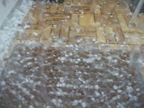 YAĞAN - Almanya'da Etkili Olan Fırtına Hayatı Felç Etti