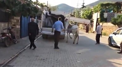 Atına Sopayla Vuran Şahsa Ceza Kesildi