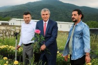 Başkan Yüce Açıklaması 'Sakarya Süs Bitkiciliğinde Örnek Olmaya Devam Edecek'