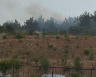 SAĞANAK YAĞIŞ - Düşen Yıldırım Ormanı Yaktı