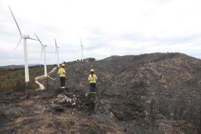 İspanya'da 220 Hektar Orman Kül Oldu