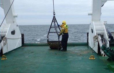 Kuzey Denizi'nde Mezolitik Çağ'a Ait Yerleşim Yeri Bulundu