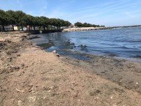 POLIS MESLEK YÜKSEKOKULU - O Plajlar Halkın Kullanımına Kapatıldı