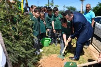 ORTAHISAR - Ortahisar 61 Bin Fidan Dikecek