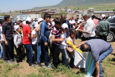 400 Çocuk Bir Arada Uçurtma Uçurdu