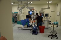 YALE ÜNIVERSITESI - Aynı Anda 5 Hastaya Nakil Operasyonu Başarıyla Tamamlandı