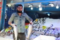 KIRMIZI ET - Balıkta Çeşit Çok, Talep Az