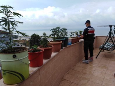 Deniz Manzaralı Esrar Balkonu