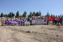 SÜLEYMAN DEMİREL - Jandarma Çocuklarla Fidanları Toprakla Buluşturdu