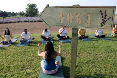 'Lavanta' Tarlasında Yoga İle Güne Başladılar