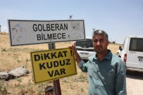 BILMECE - Diyarbakır'da Kuduz Alarmı