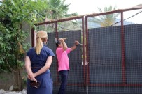 KOMANDO BİRLİĞİ - Kadın Avukatı Bu Defa Kalın Sac İle Güçlendirilmiş Kapı Bile Durduramadı