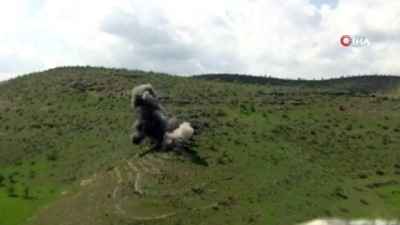 Mardin Kırsalında 2 Terörist Etkisiz Hale Getirildi