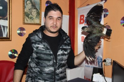 Ölen Kuşunu Gömmek İstemeyince Zanaatkar Oldu