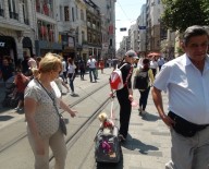 (Özel) Özel Arabasıyla Gezen Köpek İstiklal Caddesi'nde İlgi Odağı Oldu