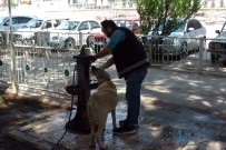 Sıcaktan Bunalan Köpeğe Polis Şefkati