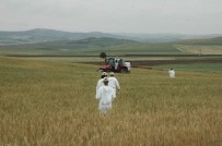 BÜLENT KORKMAZ - Süne İle Mücadele Tam Gaz