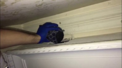 Torbacı Evinin Kartonpiyerini Zula Yaptı