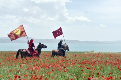 Van Gölü Sahilindeki Gelincik Tarlaları Doğal Fotoğraf Stüdyosuna Dönüştü