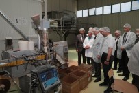 KADIR ÇAKıR - Yozgat Valisi Çakır OSB'de İncelemelerde Bulundu