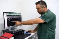 RÖNTGEN - Balıkçıların Misinasına Ayağı Dolanan Martı Ölümden Döndü