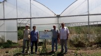 Erzincan'da Genç Çiftçiler Üretiyor