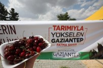 AKTOPRAK - Gaziantep'te 2'Nci Kiraz Hasat Şenliği Düzenlendi