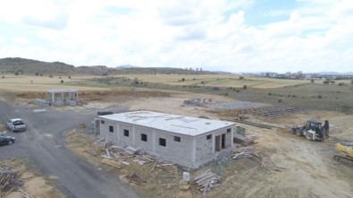 Hayvan Kasabasının Yapımı Sürüyor