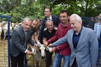 KEMAL YıLMAZ - Hilmi Güler Ezber Bozdu