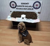 İSTANBUL AĞIR CEZA MAHKEMESİ - (Özel) Narkotik Köpeğinden Bingo